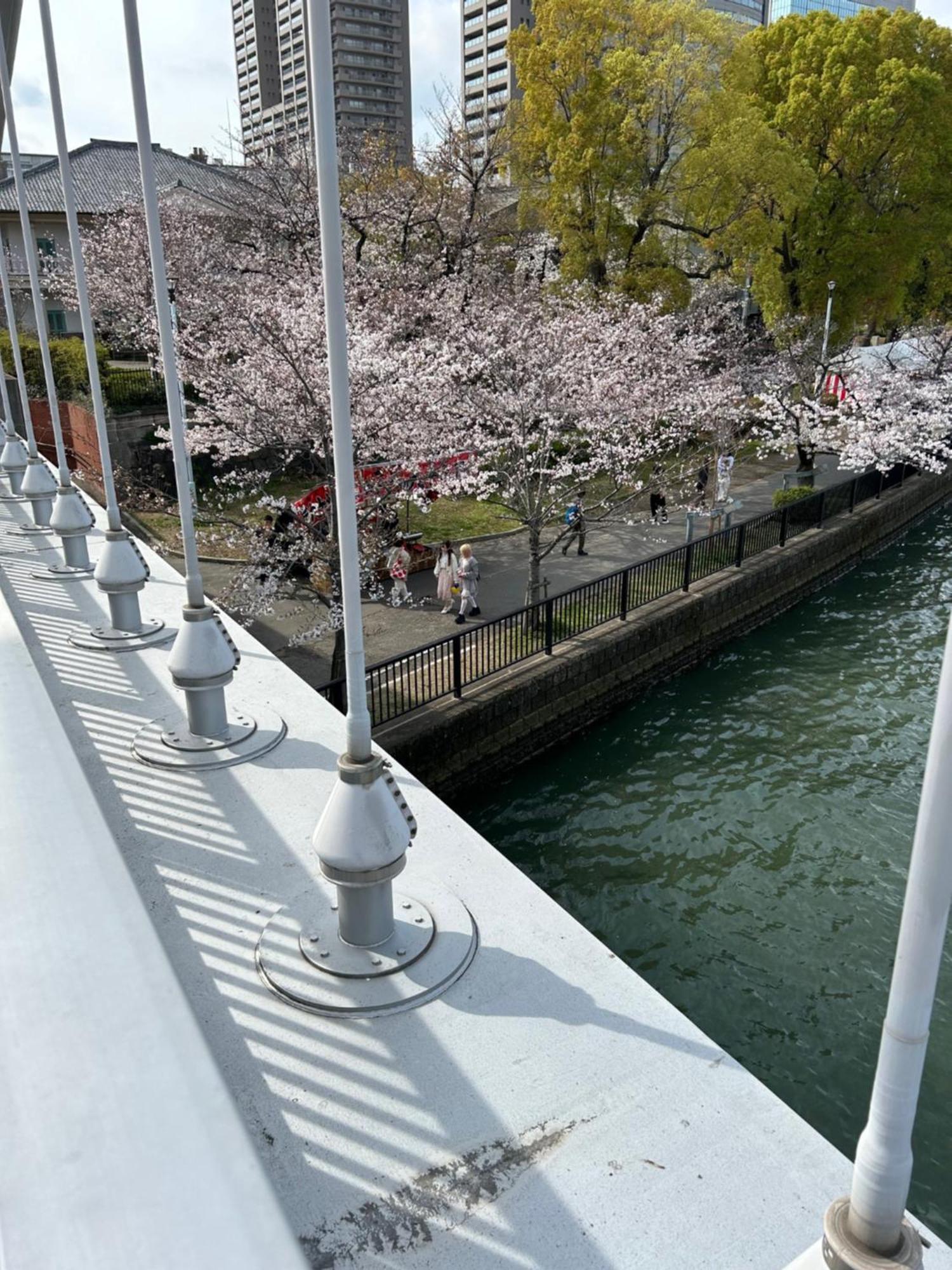 Noah Grande (Adults Only) Hotel โอซาก้า ภายนอก รูปภาพ