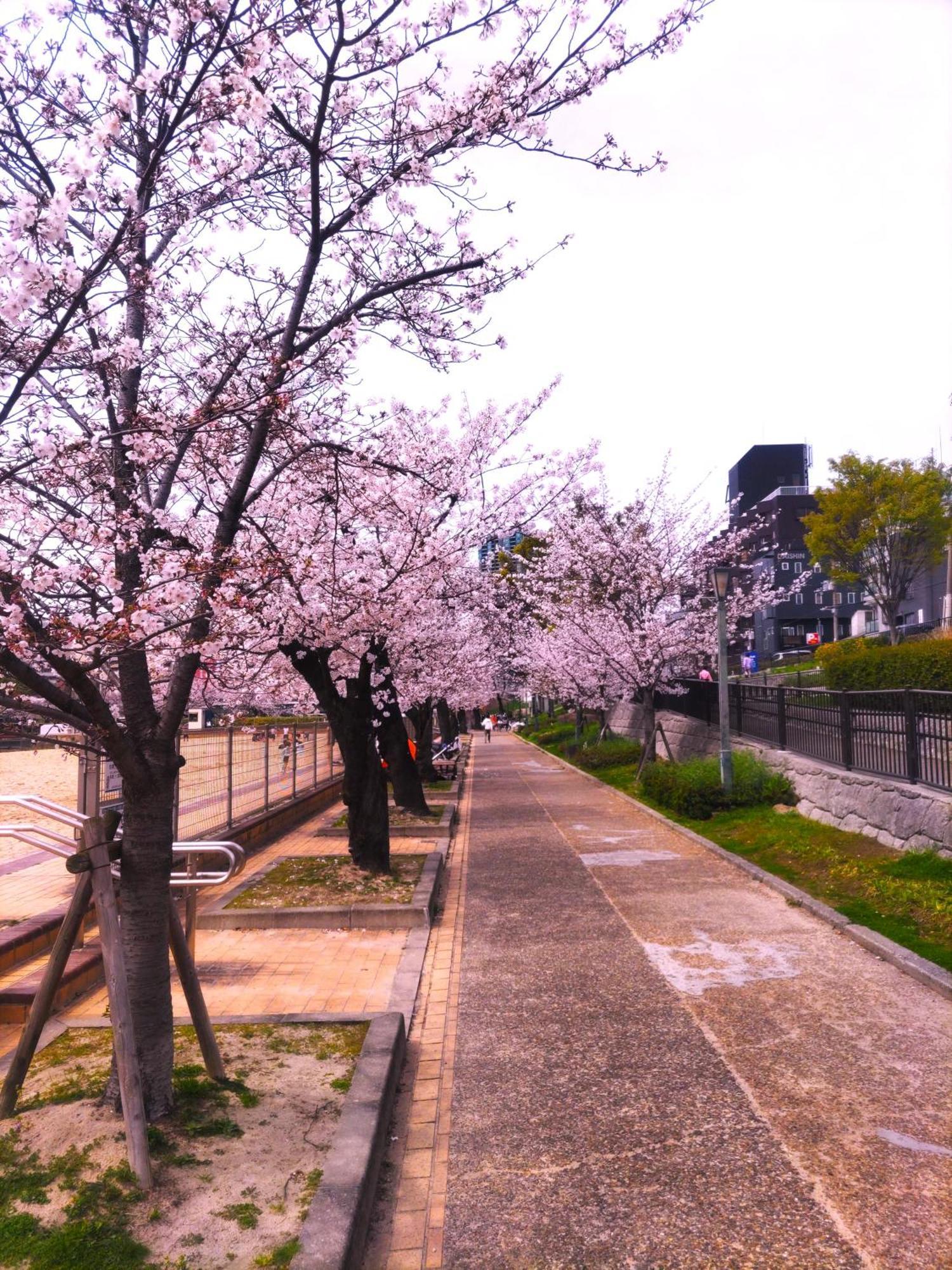 Noah Grande (Adults Only) Hotel โอซาก้า ภายนอก รูปภาพ