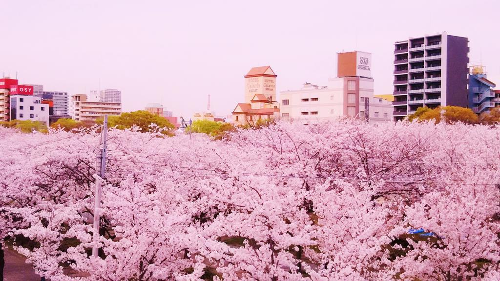 Noah Grande (Adults Only) Hotel โอซาก้า ภายนอก รูปภาพ